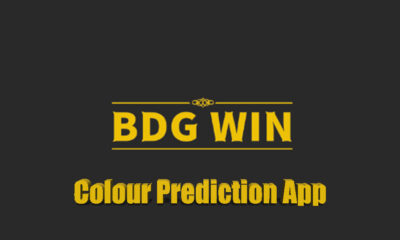 Unleash your inner gamer and earn rewards: The BGD Win experience