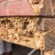 Termite Inspections