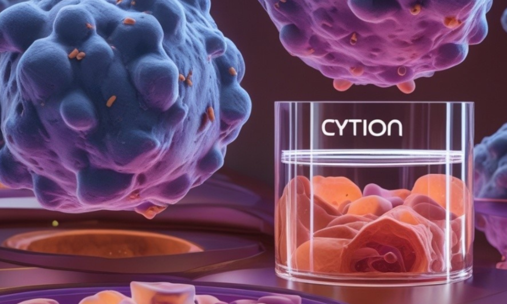 Cryopreservation of Cells