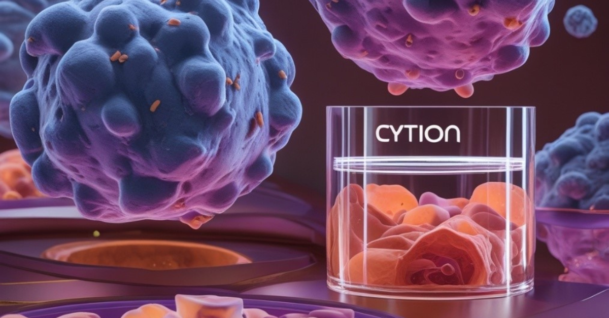 Cryopreservation of Cells