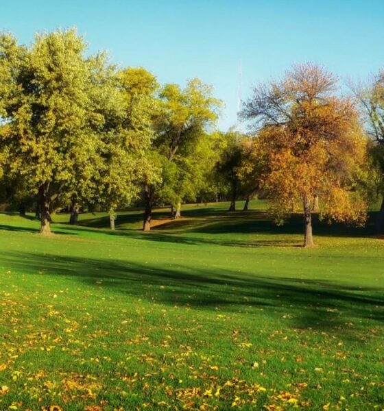 Green Spaces