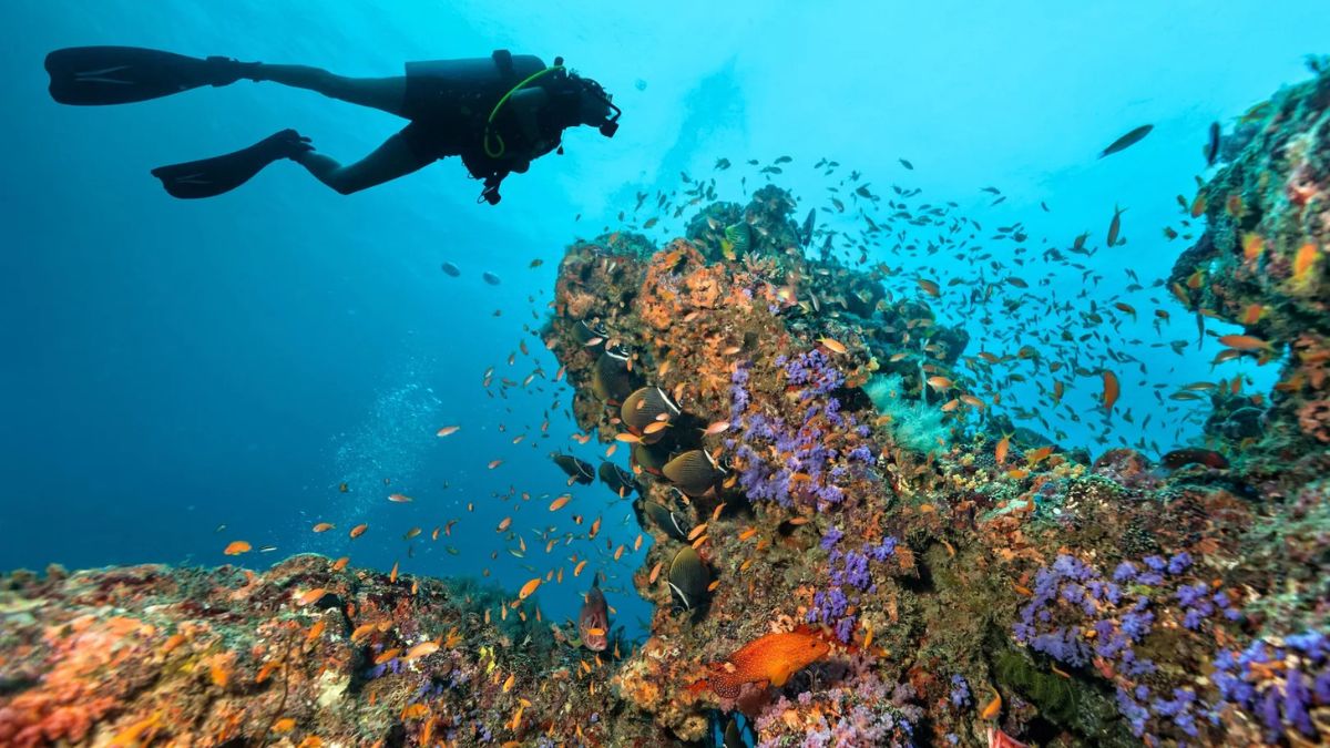 Maldives Scuba Diving