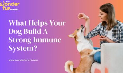 Immune System