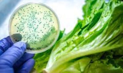 Listeria Testing in the Produce Industry: How Reliable Is It