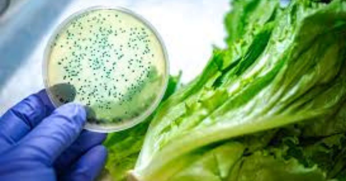 Listeria Testing in the Produce Industry: How Reliable Is It