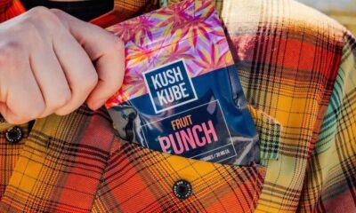 Kratom Shots Explained: Tusk, Liquid Gold, and OPMS Gold Compared