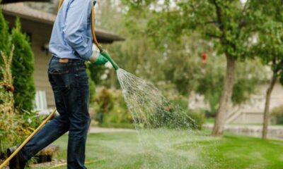 Water-Efficient Lawns