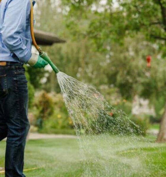 Water-Efficient Lawns