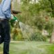 Water-Efficient Lawns