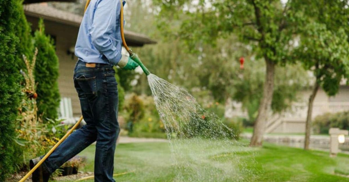 Water-Efficient Lawns